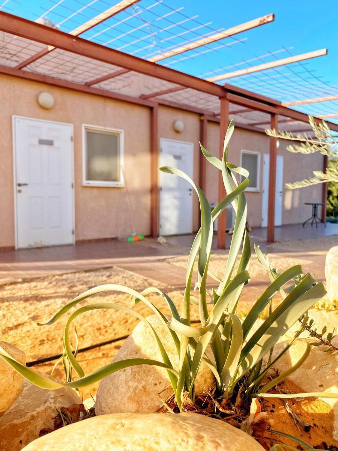 Desert Fantasy Villa Be'er Milka Bagian luar foto