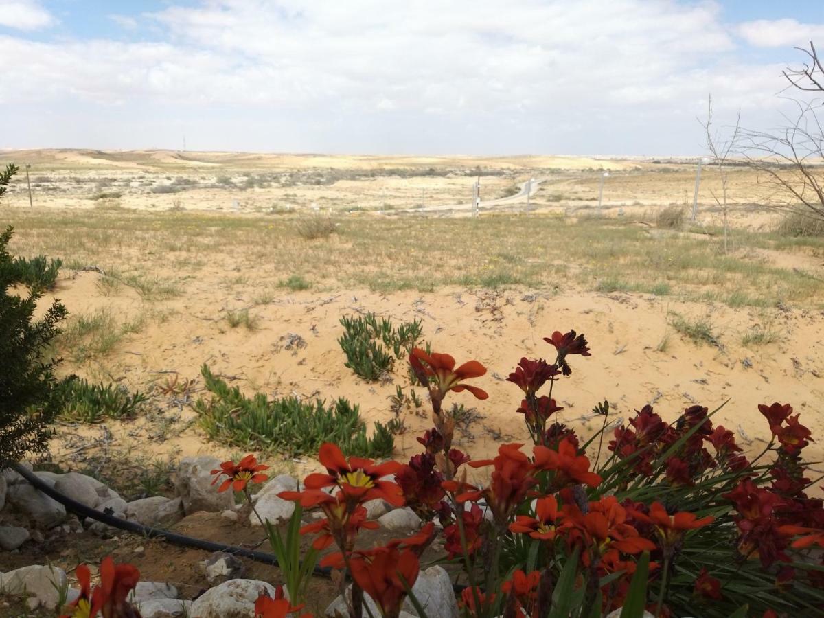 Desert Fantasy Villa Be'er Milka Bagian luar foto